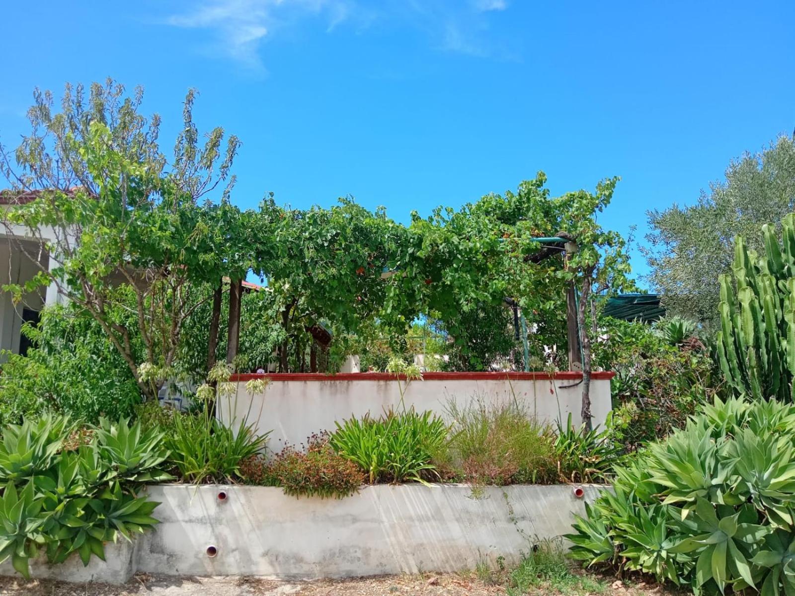 Villa Del Sole Specchiolla Ngoại thất bức ảnh