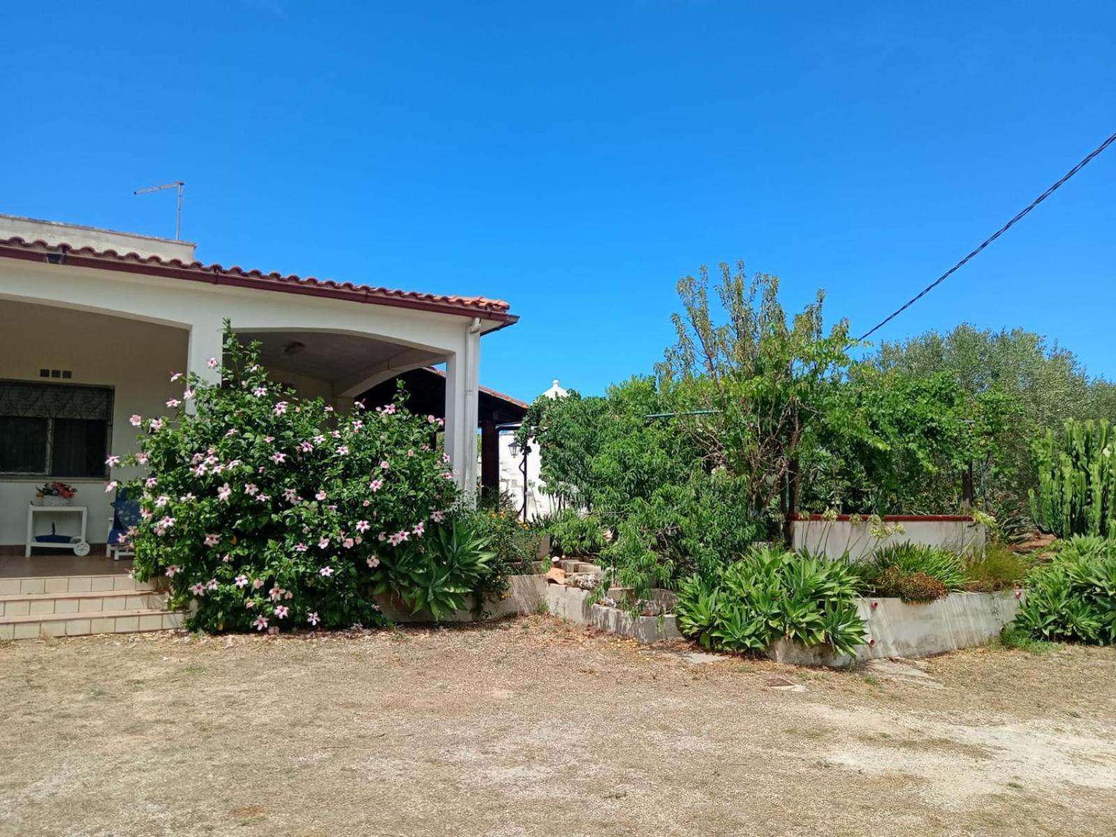 Villa Del Sole Specchiolla Ngoại thất bức ảnh